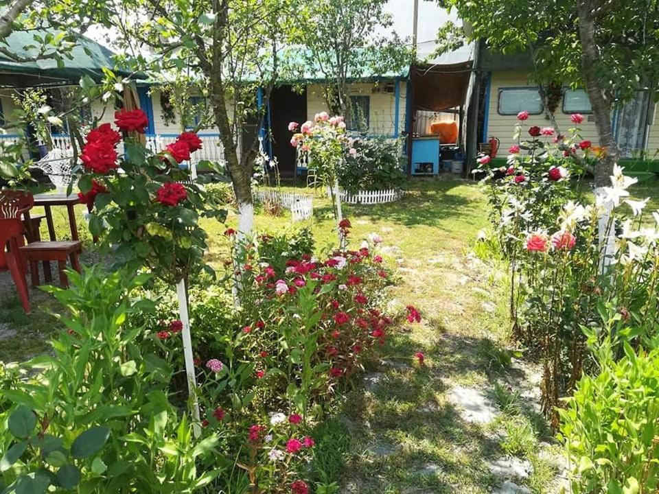 Camping Casuta Mihaela Crisan  Exterior foto