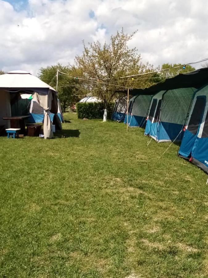 Camping Casuta Mihaela Crisan  Exterior foto