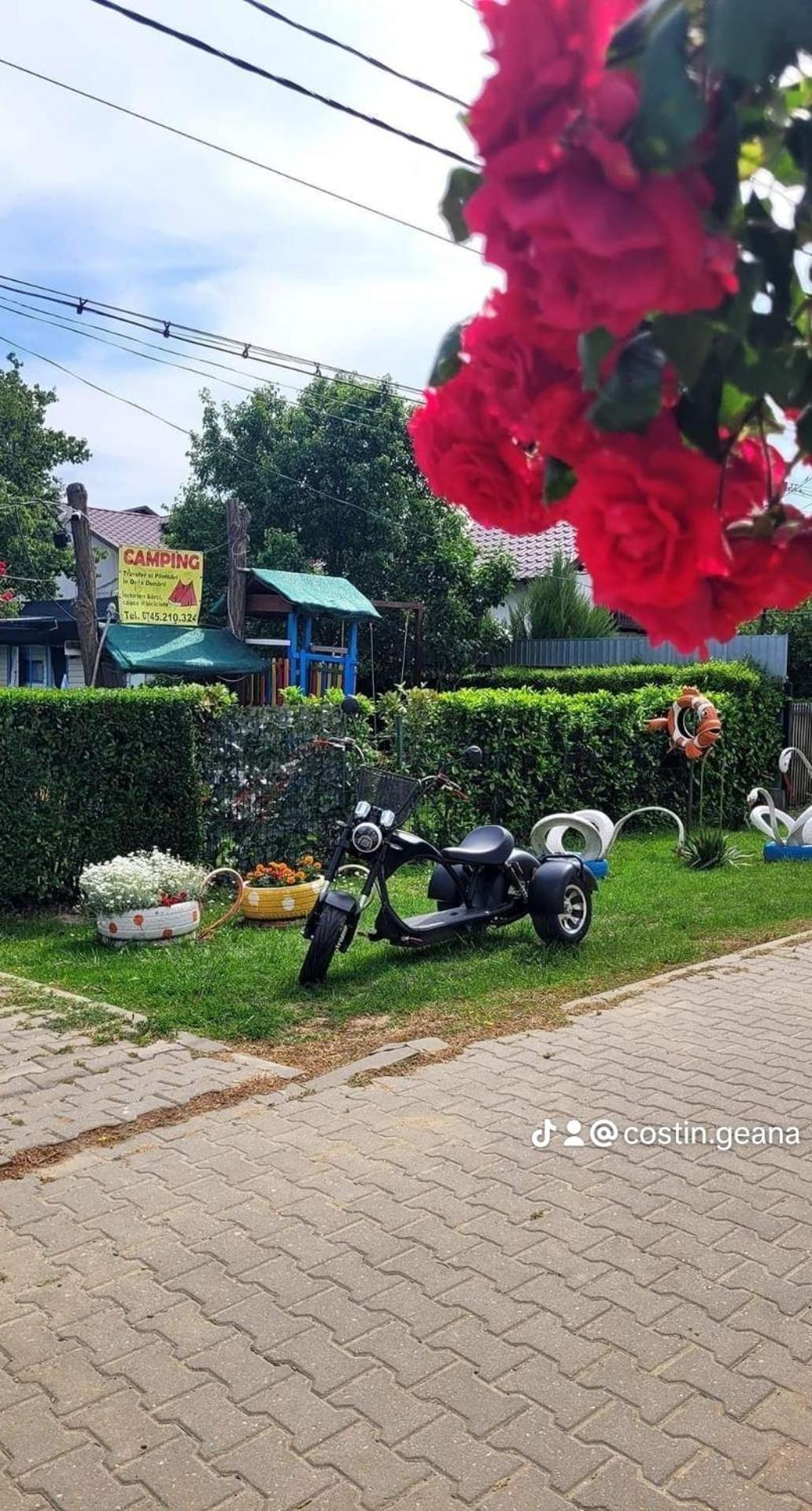 Camping Casuta Mihaela Crisan  Habitación foto