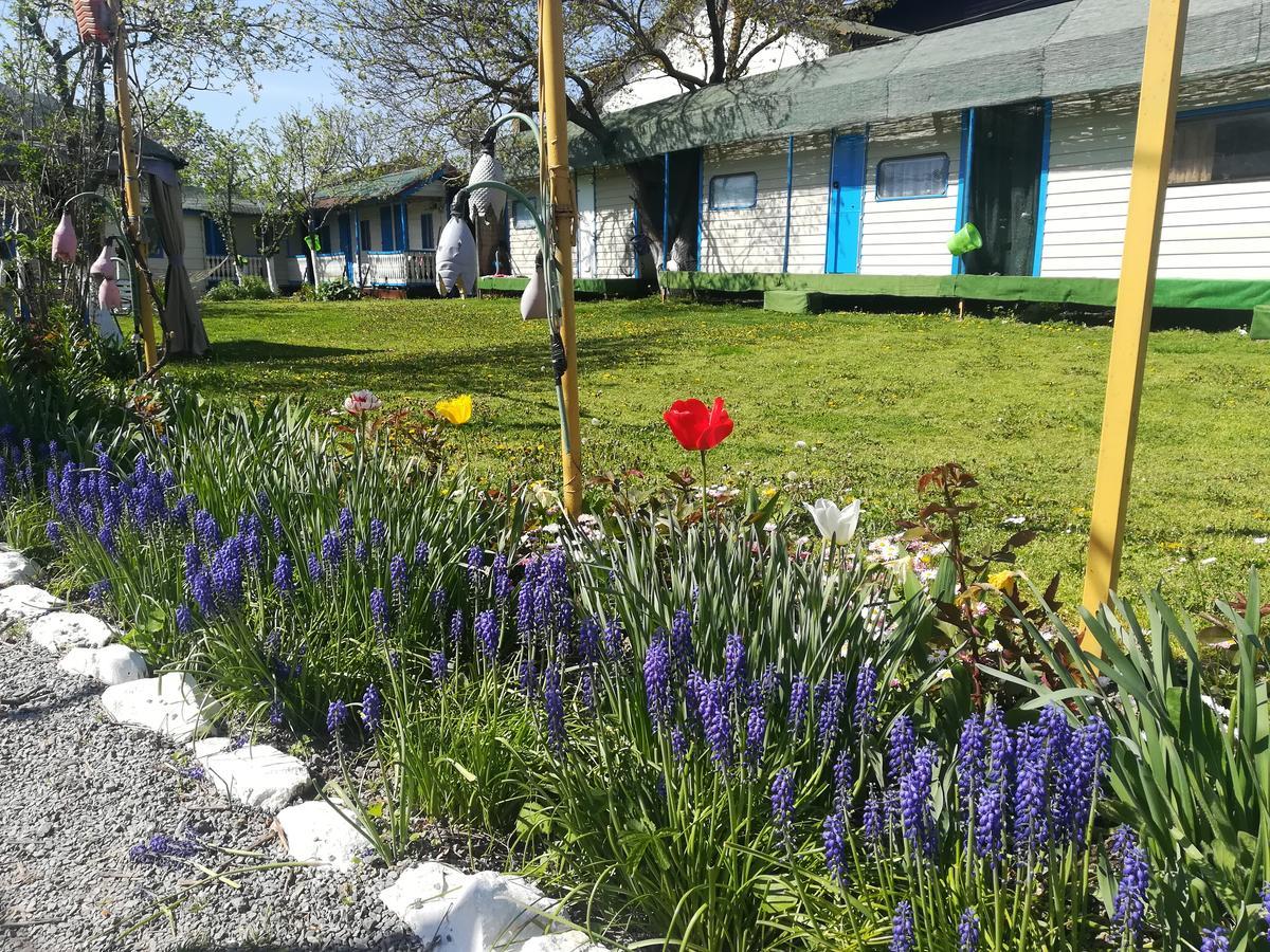 Camping Casuta Mihaela Crisan  Exterior foto