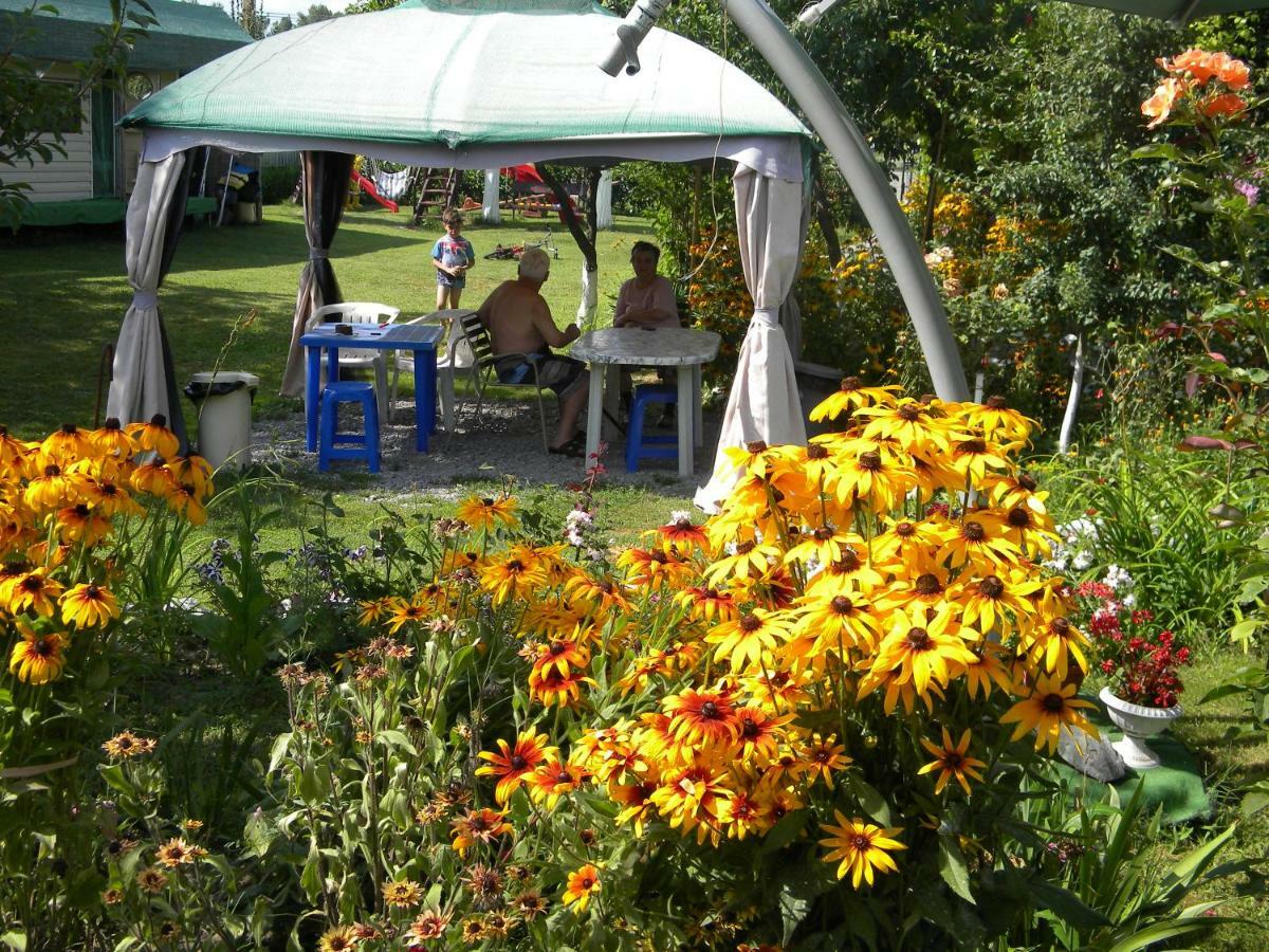 Camping Casuta Mihaela Crisan  Exterior foto